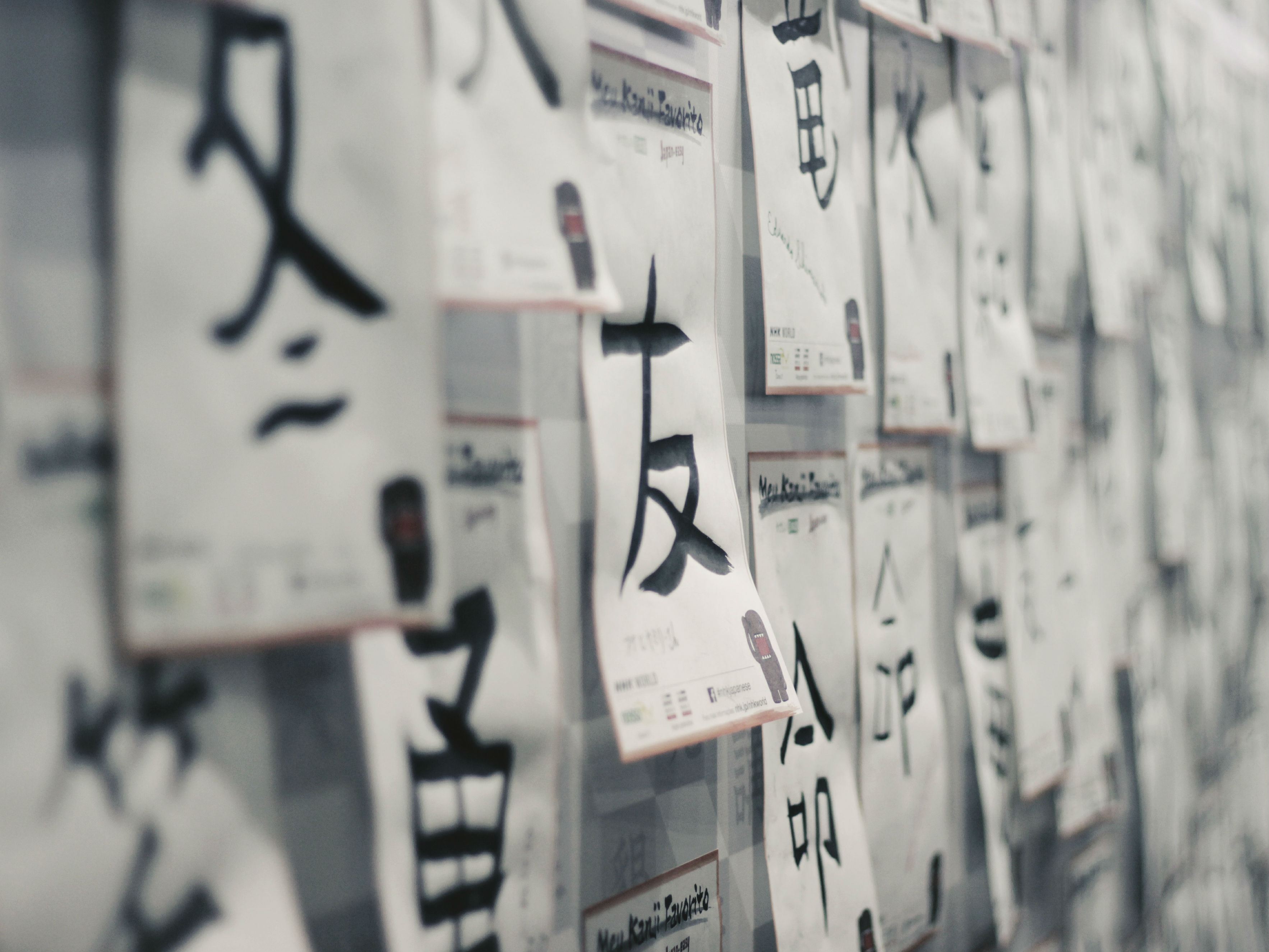 characters_800_600